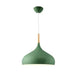 TAKLAMPA.SE Grön Dansk design taklampa
