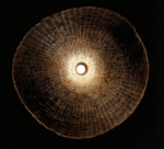 Hem & Trädgård > Belysning > Belysningsarmaturer > Taklampor efze Konstfullt Handgjord Rattan Hänglampa