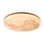 Hem & Trädgård > Belysning > Belysningsarmaturer > Taklampor Måne Rund LED Taklampa